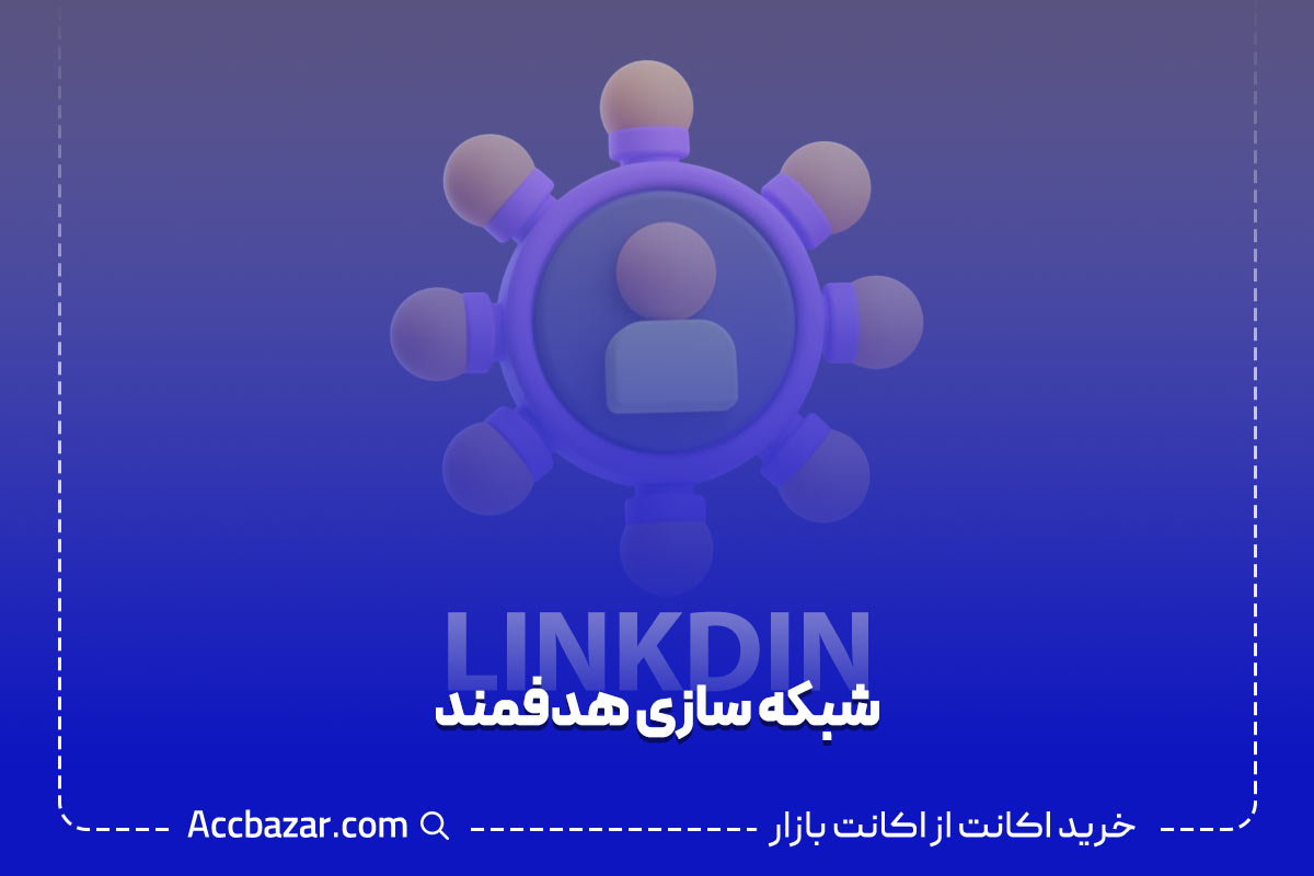 شبکه سازی هدفمند